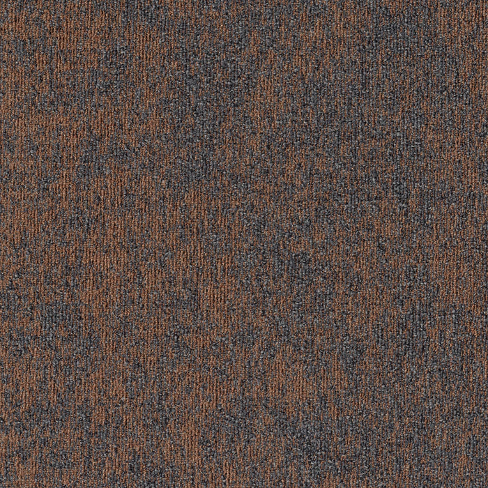 Mohawk - Shape Theory - Cartesian Plane - 24 in. x 24 in. - Commercial Carpet Tile - Coral Calculations