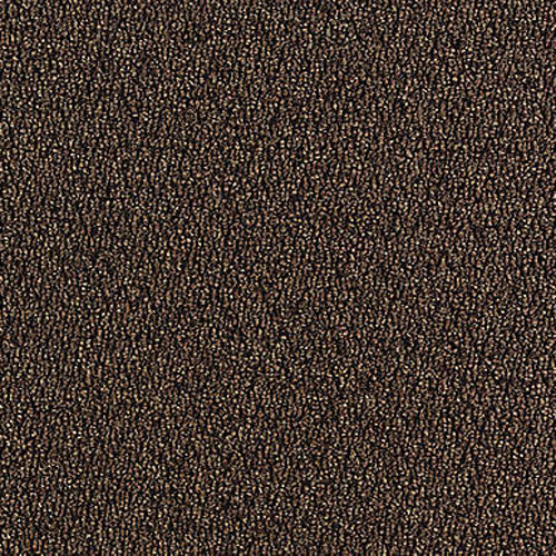 Aladdin Commercial - Walk Off - Walk The Walk - Carpet Tile - Walnut