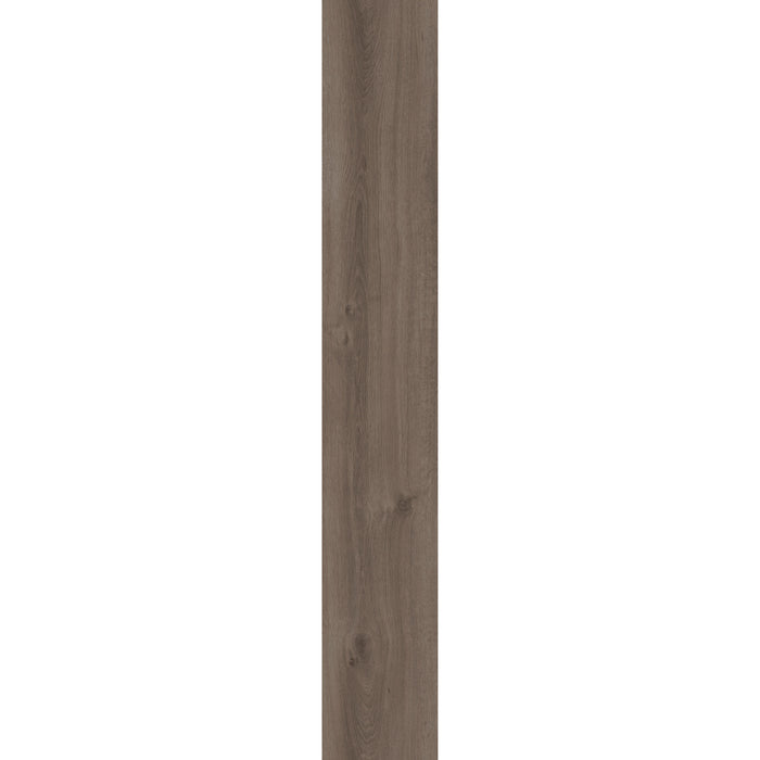 Mohawk - Large & Local - Reforestation - 9.25 in. x 59 in. Luxury Vinyl - Yosemite