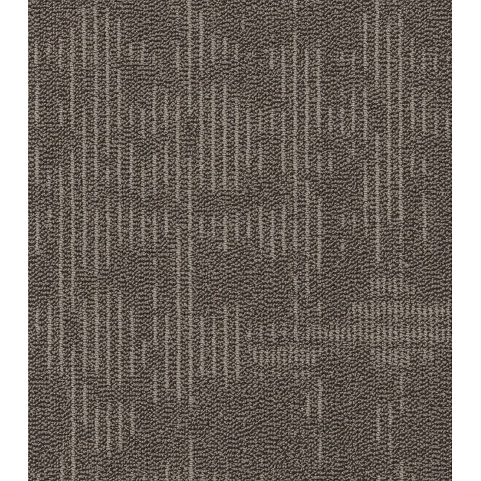 Philadelphia Commercial - Curious Wonder - Carpet Tile - Esoteric