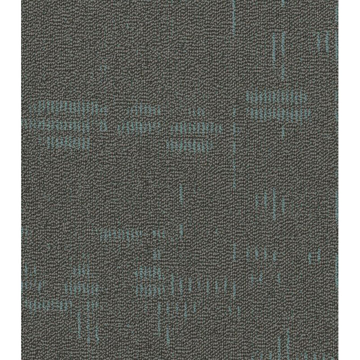 Philadelphia Commercial - Curious Wonder - Carpet Tile - In Awe