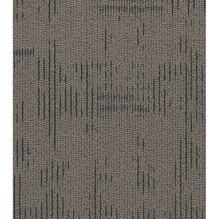 Philadelphia Commercial - Curious Wonder - Carpet Tile - Inquisitive