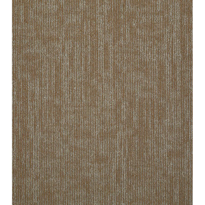 Philadelphia Commercial - Duo Collection - Carbon Copy - Carpet Tile - Duplicate