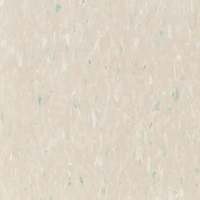 Tarkett - Vinyl Composition Commercial Tile II (VCT) - 328 Palm