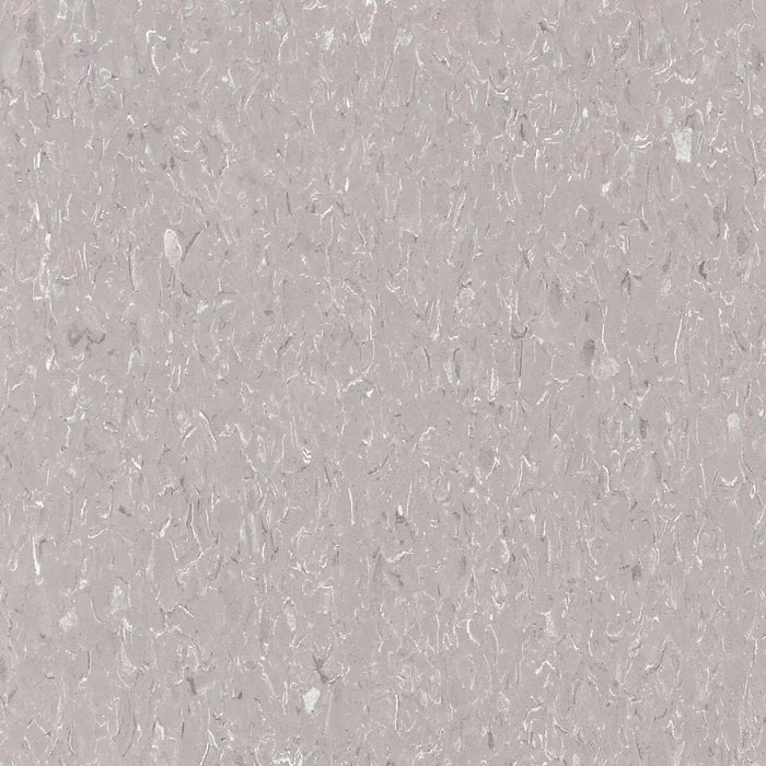 Tarkett - Vinyl Composition Commercial Tile II (VCT) - 557 Shooting Star