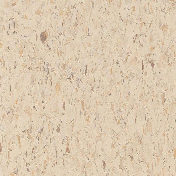 Tarkett - Vinyl Composition Commercial Tile II (VCT) - 573 Desert Storm