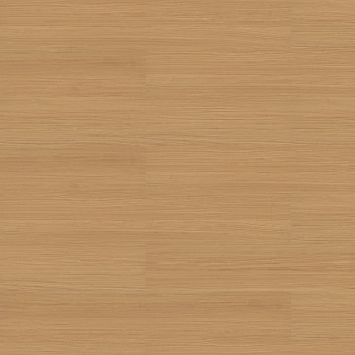 Patcraft - Eco System - Enrich Plank - 10 in. x 60 in. Luxury Vinyl - Advance