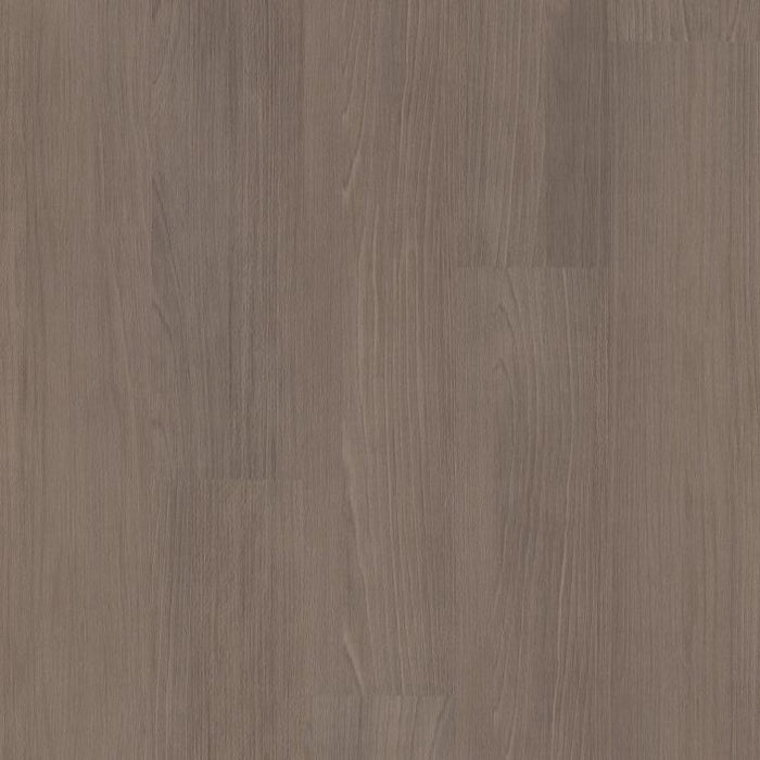 Philadelphia Commercial - Connection 6 - Luxury Vinyl Plank - Companionship