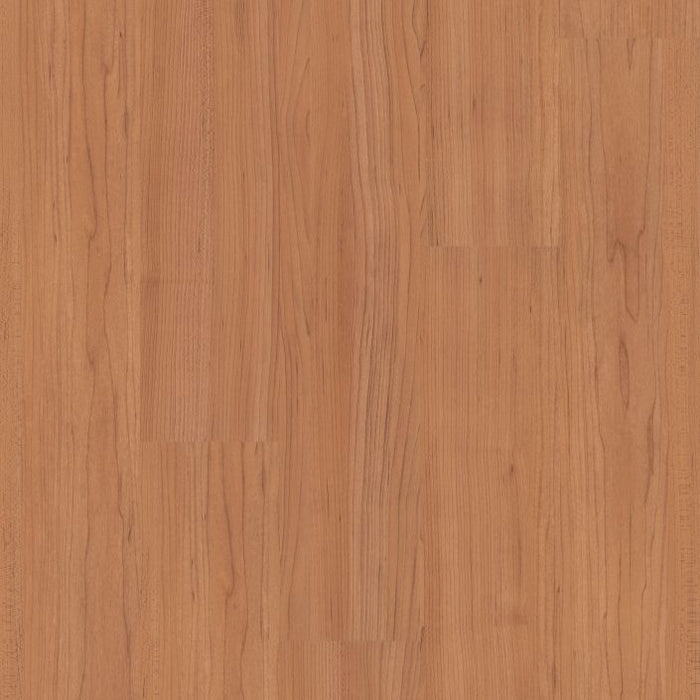 Philadelphia Commercial - Connection 6 - Luxury Vinyl Plank - Participation