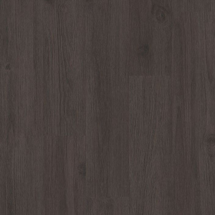 Philadelphia Commercial - Connection 6 - Luxury Vinyl Plank - Acquaintance