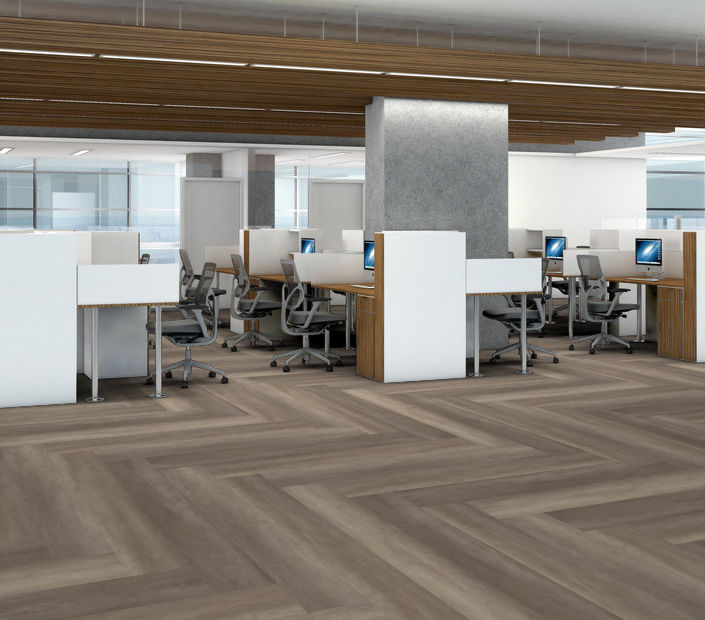 Philadelphia Commercial - Philosopher's Tree - Luxury Vinyl Plank - River Rock floor installation