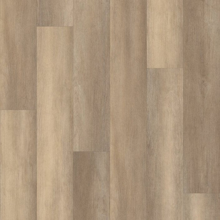 Philadelphia Commercial - Philosopher's Tree - Luxury Vinyl Plank - Honeycomb
