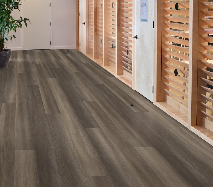 Philadelphia Commercial - Philosopher's Tree - Luxury Vinyl Plank - Bronze floor installation
