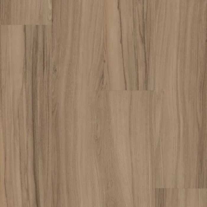 Philadelphia Commercial - Rewild - Luxury Vinyl Plank - Aegis