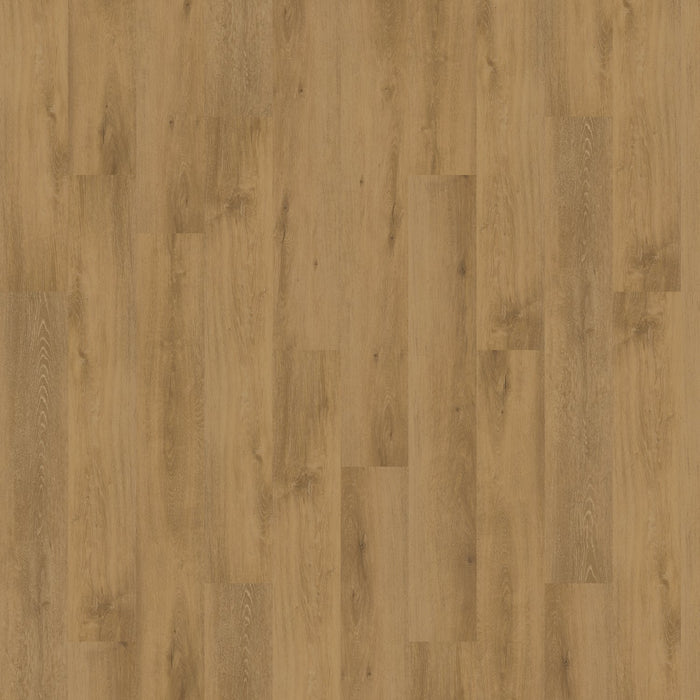 Patcraft - Adesa - 7 in. x 48 in. Luxury Vinyl - Meadow