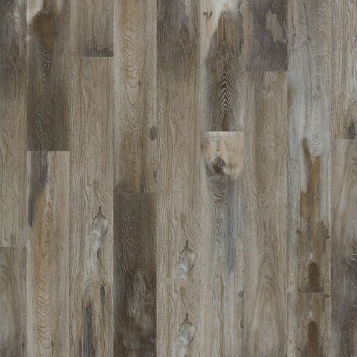 Mohawk - SolidTech Select -Explorers Forest 7 in. x 48 in. - Raccoon