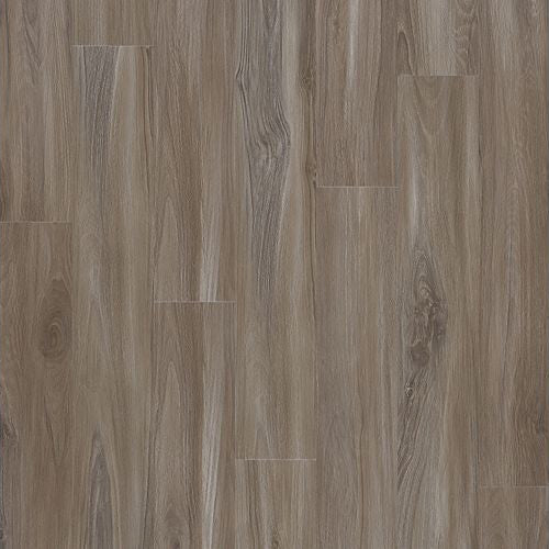 Mohawk - SolidTech Select -Explorers Forest 7 in. x 48 in. - Dolphin