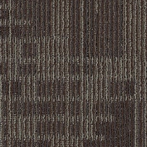 Aladdin Commercial - Set In Motion - Carpet Tile - Timber Bark