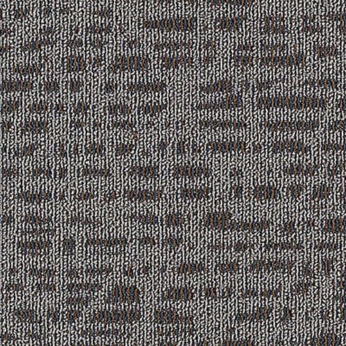 Aladdin Commercial Refined Look Carpet Tile - Delightful Discovery