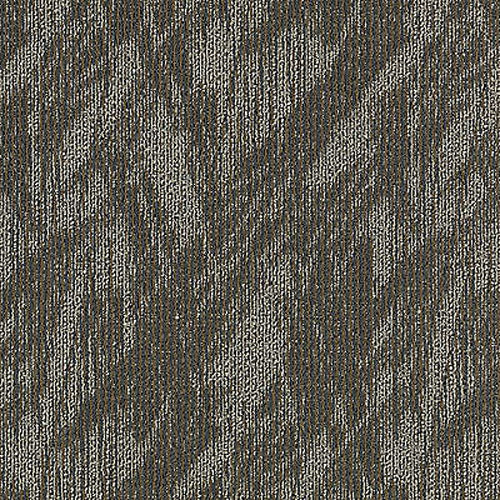 Aladdin Commercial Total Visual Carpet Tile - So Intrigued