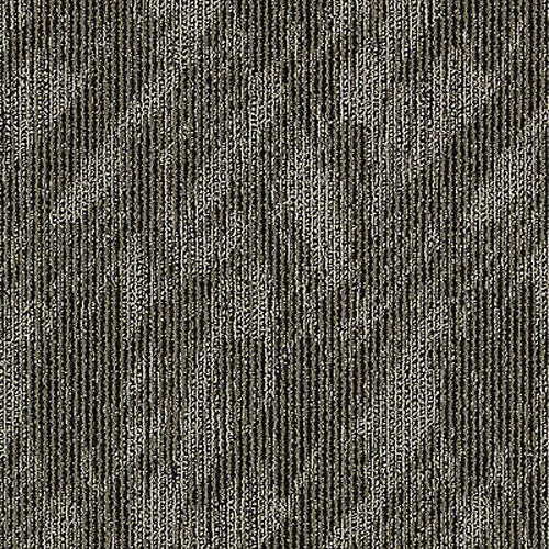 Aladdin Commercial Total Visual Carpet Tile - Fantastic Look