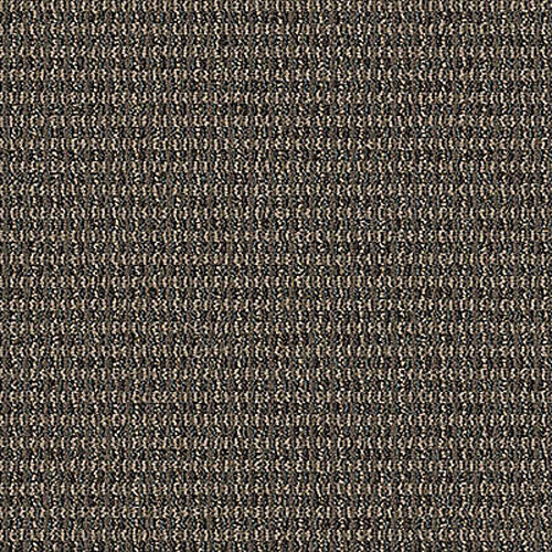 Aladdin Commercial - Define Collection - Implore - Carpet Tile - Describe