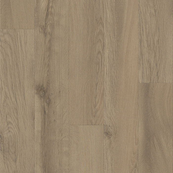 Hartco - Nod to Nature Rewilding - 9 in. x 60 in. Luxury Vinyl - Dryback - Driftland