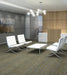 Philadelphia Commercial - Embrace Collection - Wonder - Carpet Tile - Spirit