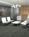 Philadelphia Commercial - Embrace Collection - Reveal - Carpet Tile - Truth