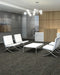 Philadelphia Commercial - Embrace Collection - Reveal - Carpet Tile - Wisdom