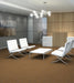 Philadelphia Commercial - Beyond Basic - Crazy Smart - Carpet Tile - Magnetic