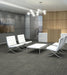 Philadelphia Commercial - Beyond Basic - Raw Beauty - Carpet Tile - Luminous