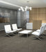 Philadelphia Commercial - Beyond Basic - Raw Beauty - Carpet Tile - Showy