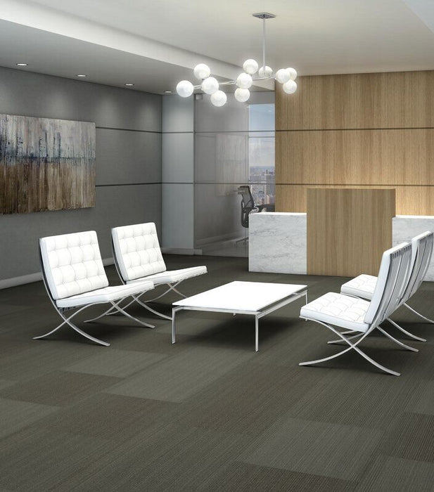 Philadelphia Commercial - Practical - Carpet Tile - Sensible Installed