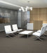 Philadelphia Commercial - Profusion - Carpet Tile - Bounty Office Install