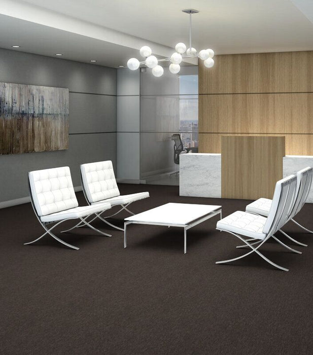 Philadelphia Commercial - Profusion - Carpet Tile - Abundance Office Install