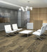 Philadelphia Commercial - Modern Mingle - Intermix - Carpet Tile - Emulsify