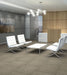 Philadelphia Commercial - Special Project Commercial - Carpet Tile - Mirror Image