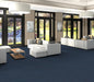 Philadelphia Commercial - Color Scope 20 - Luxury Vinyl Tile - Indigo floor installation