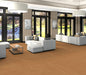 Philadelphia Commercial - Color Scope Ille - Luxury Vinyl Tile - Mandarin floor installation