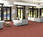 Philadelphia Commercial - Color Scope 30 - Luxury Vinyl Tile - Coral floor installation