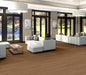 Philadelphia Commercial - Willow Oak 20 - Luxury Vinyl Plank - Copper Oak Room Scene