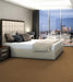 Philadelphia Commercial - Beyond Basic - Crazy Smart - Carpet Tile - Magnetic