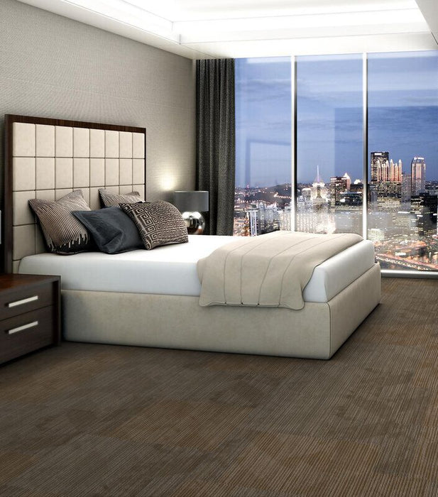 Philadelphia Commercial - In The Press - Declare - Carpet Tile - Front Page Office Install
