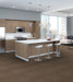 Philadelphia Commercial - Awestruck - Mystify - Carpet Tile - Bewilder