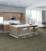 Philadelphia Commercial - Embrace Collection - Wonder - Carpet Tile - Spirit
