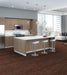 Philadelphia Commercial - Embrace Collection - Wonder - Carpet Tile - Faith