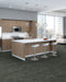 Philadelphia Commercial - Embrace Collection - Reveal - Carpet Tile - Truth