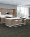 Philadelphia Commercial - Embrace Collection - Reveal - Carpet Tile - Wisdom