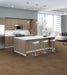 Philadelphia Commercial - Duo Collection - Carbon Copy - Carpet Tile - Alter Ego